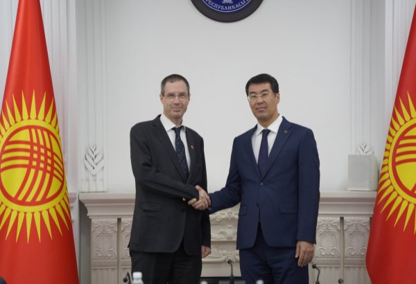 Kyrgyzstan, Austria hold political consultations on trade, investment