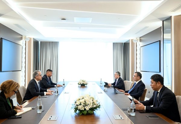 Kyrgyzstan, UNESCO discuss cooperation on education, science and culture