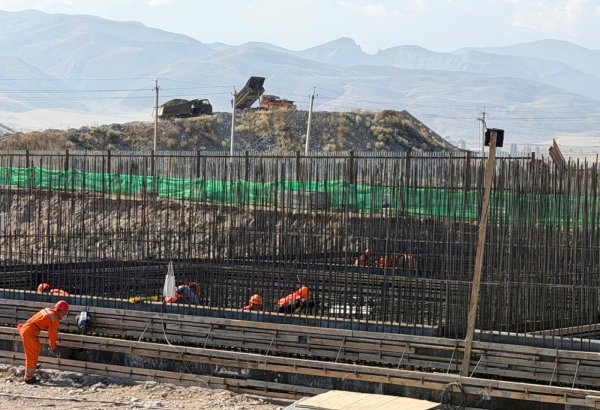 Kyrgyzstan builds leather plant to process up to 1,000 hides a day