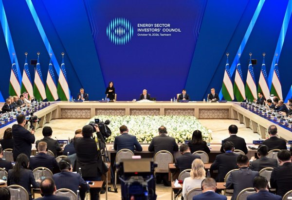 Uzbekistan to establish energy investors council led by Saida Mirziyoyeva