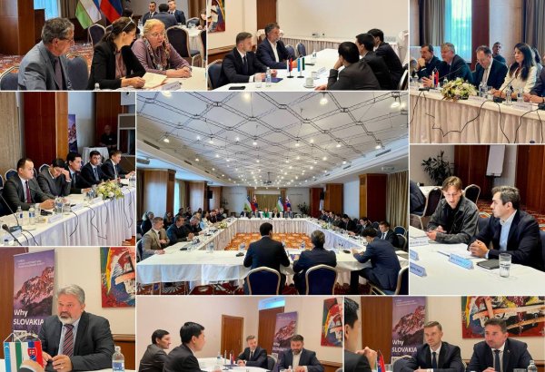 Uzbekistan, Slovakia seek to raise trade turnover to $300M