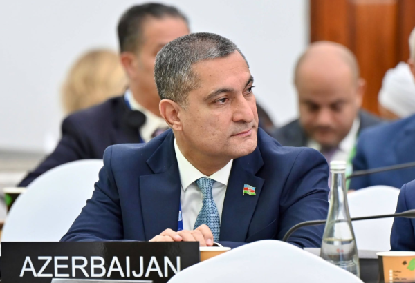 Azerbaijan’s chairmanship extension reflects global standing, MP says