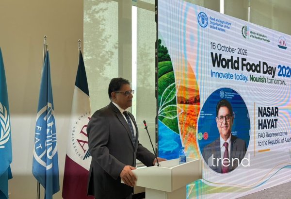 Innovations can boost Azerbaijani farmers' incomes – FAO