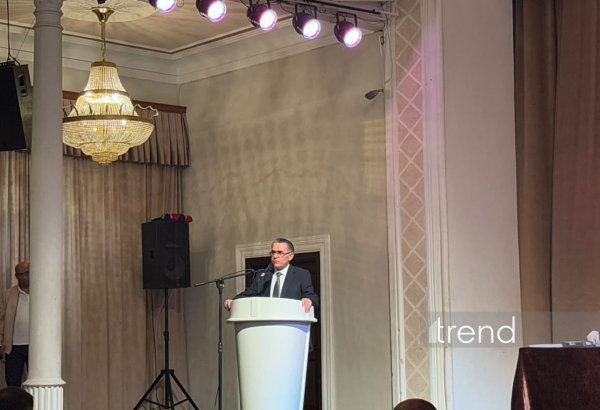 Azerbaijan’s Media Council says it works around clock on disinformation