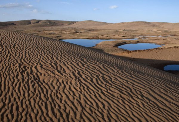 Turkmenistan urges regional action on biodiversity and land degradation