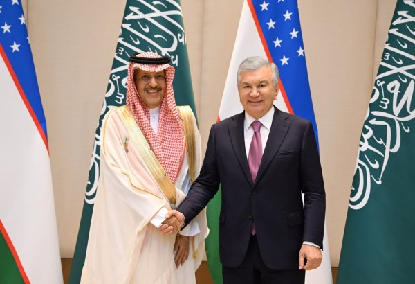 Mirziyoyev, ACWA Power chief discuss speeding up energy projects