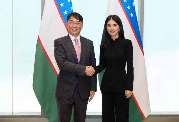 Uzbekistan, Henderson Land Group discuss renewable energy, New Tashkent