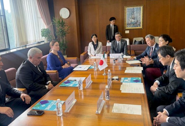 Turkmenistan, Japan discuss hydrogen production research