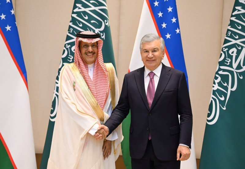 Mirziyoyev, ACWA Power chief discuss speeding up energy projects