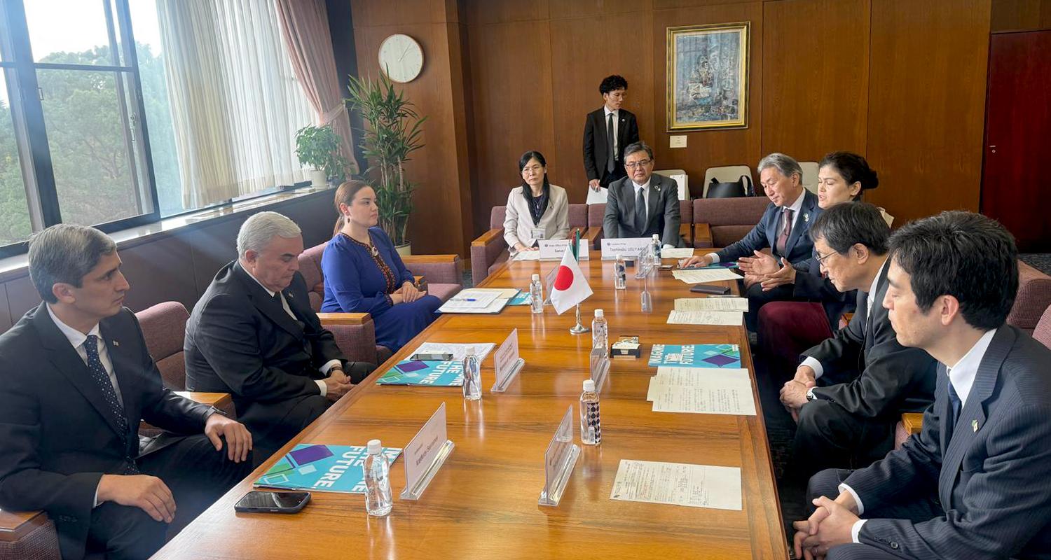 Turkmenistan, Japan discuss hydrogen production research