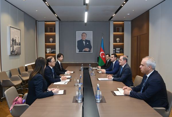 Azerbaijani FM, outgoing Japanese envoy discuss trade, energy ties (PHOTO)