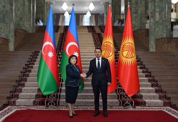 Azerbaijan, Kyrgyzstan seek closer parliamentary ties, reinforce alliance (PHOTO)