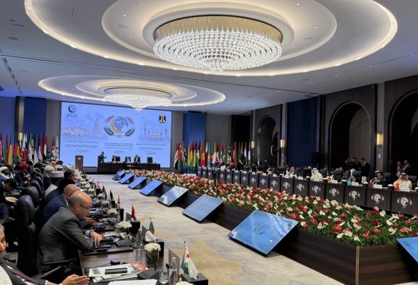 Uzbekistan urges diplomatic resolution of conflicts at OIC meeting