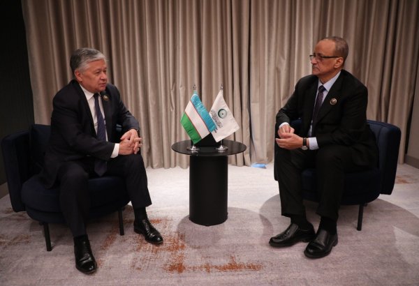Uzbekistan, OIC discuss expanding cooperation at Baghdad ministerial meet