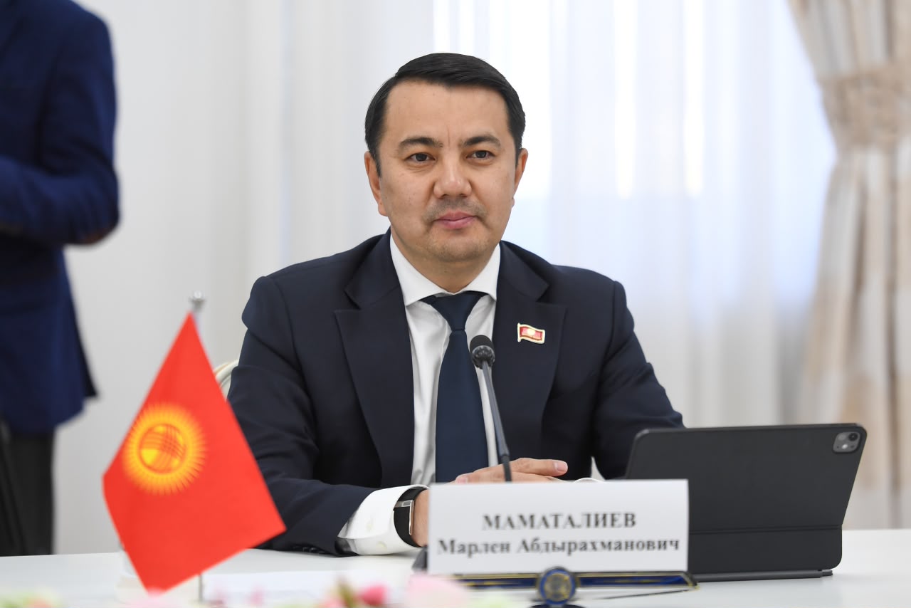 Azerbaijan, Kyrgyzstan seek closer parliamentary ties, reinforce alliance (PHOTO)