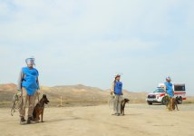 Azerbaijan clears 309,000 hectares of mines in liberated districts (PHOTO)