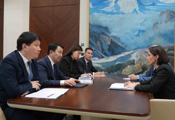 Kyrgyzstan, EEC discuss industrial and agro-industrial projects