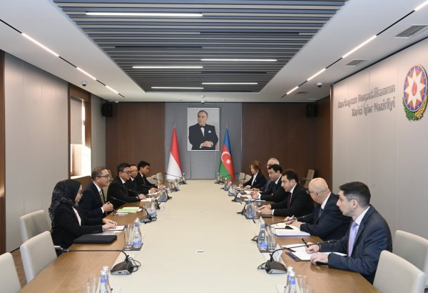 Azerbaijan, Indonesia discuss preparations for 2027 OIC Summit (PHOTO)