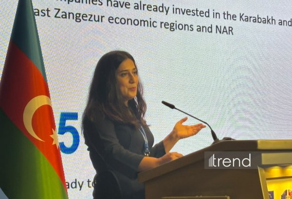 Azerbaijan's economy gets satisfactory rating from 57% of European firms