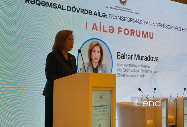 About 2.3M households operate in Azerbaijan - committee's chief
