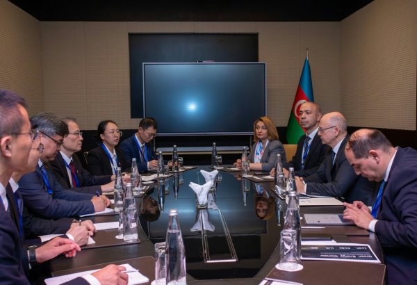 Azerbaijan considers 300 MW green projects with Chinese company (PHOTO)