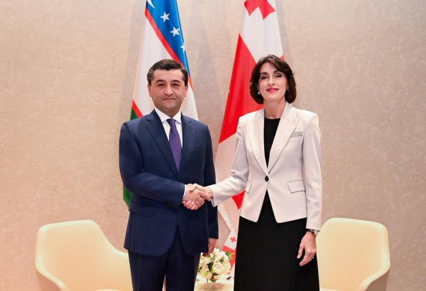 Uzbekistan, Georgia discuss trade, transport and logistics cooperation