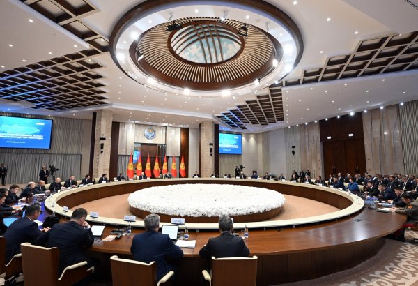 Kyrgyzstan grants Manas city special economic status