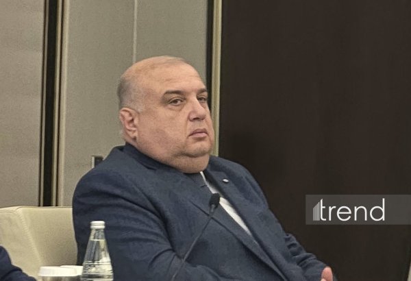 Azerbaijan's council member says digitalization to boost budget oversight