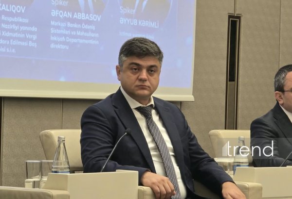 Azerbaijan to add AI services to e-government portal by year-end