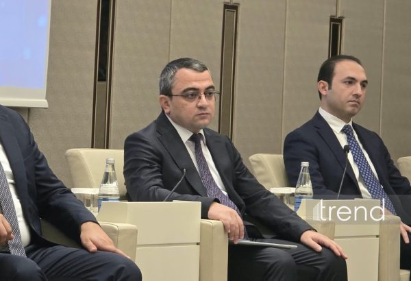 Azerbaijan to introduce pre-filled tax returns for micro-entrepreneurs