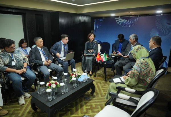 Kyrgyzstan, Iran discuss trade and technology cooperation in Jakarta