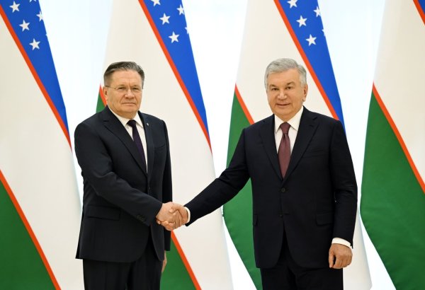 Uzbek president, Rosatom head discuss first nuclear power plant