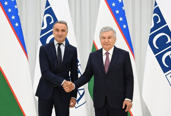 Uzbek president, OSCE assembly head discuss expanding cooperation