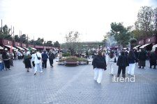 Baku Olive Festival kicks off with three days of food, traditions and concerts (PHOTO)