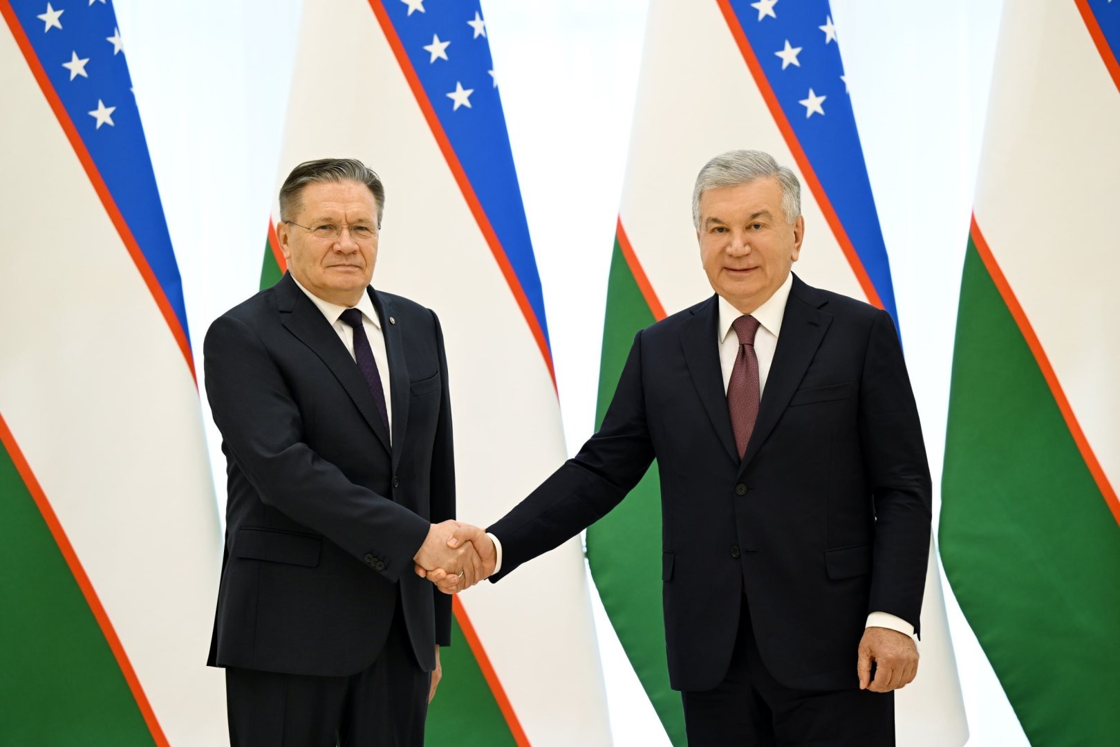 Uzbek president, Rosatom head discuss first nuclear power plant