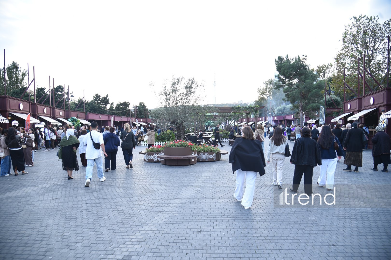 Baku Olive Festival kicks off with three days of food, traditions and concerts (PHOTO)