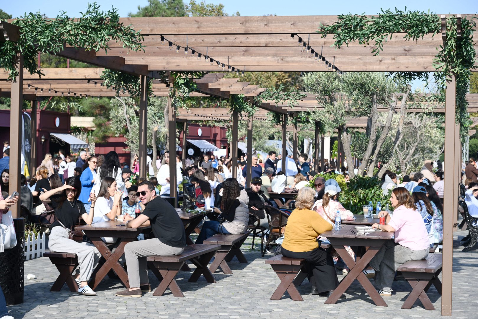 Olive Festival opens in Baku (PHOTO)