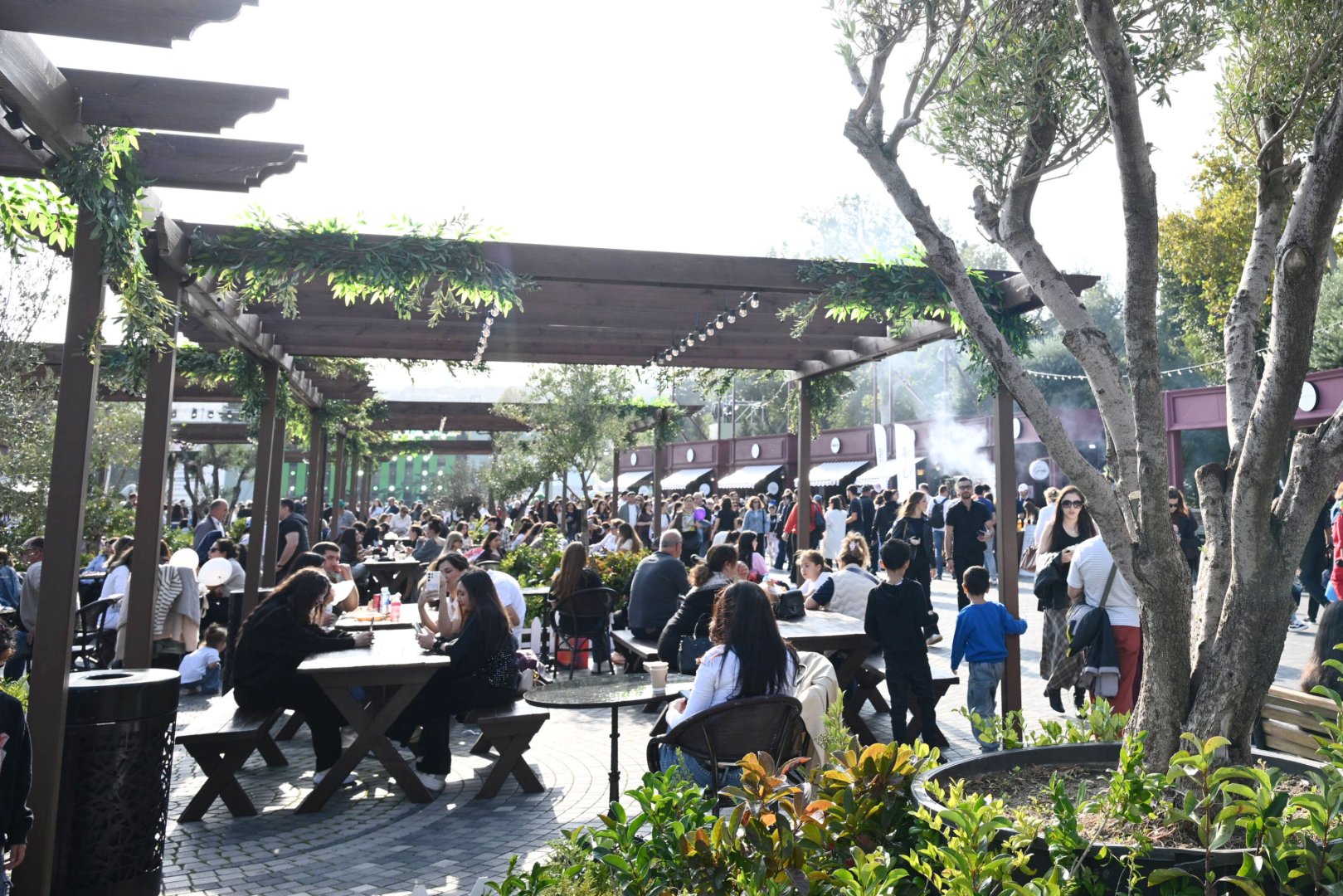 Olive Festival opens in Baku (PHOTO)