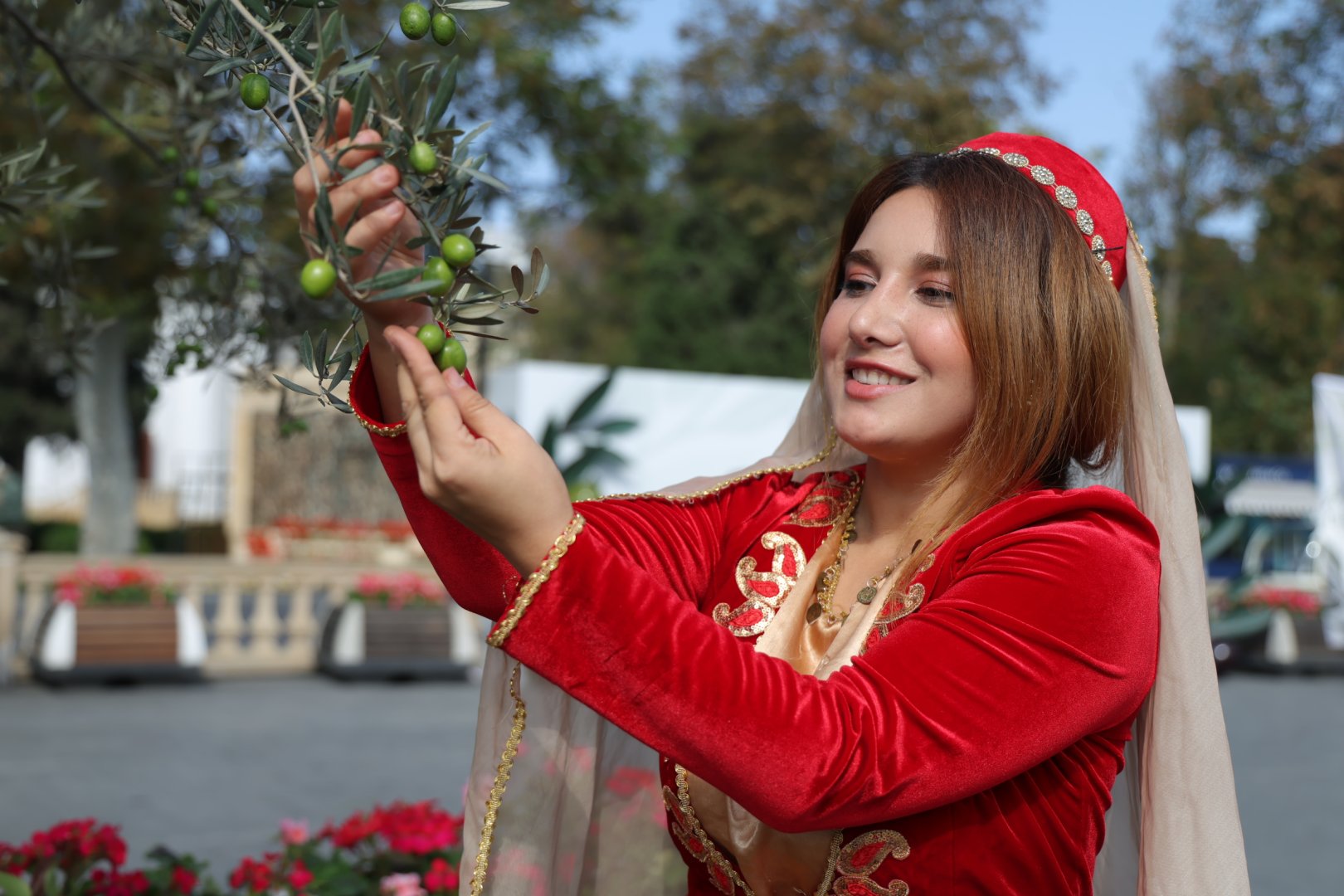 Second day of Olive Festival underway in Baku (PHOTO)