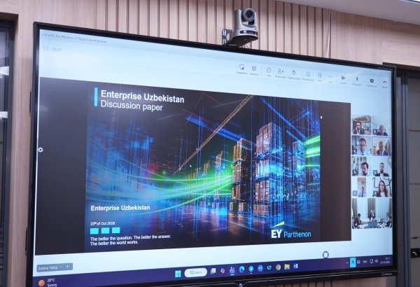 Uzbekistan, EY explore AI, technology export cooperation opportunities