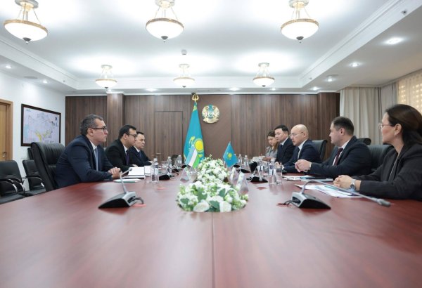 Uzbekistan, Kazakhstan plan 'Clean Air' consortium to fight pollution