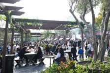 Olive Festival opens in Baku (PHOTO)