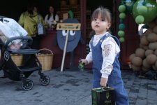 Second day of Olive Festival underway in Baku (PHOTO)