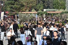 Olive Festival opens in Baku (PHOTO)