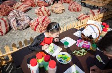 Olive Festival opens in Baku (PHOTO)