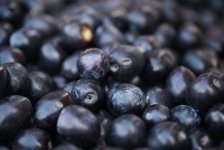 Olive Festival opens in Baku (PHOTO)