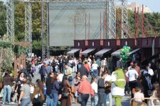 Olive Festival opens in Baku (PHOTO)