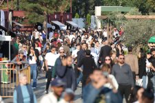 Olive Festival opens in Baku (PHOTO)