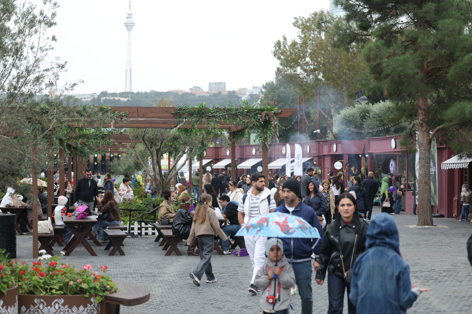 Olive Festival continues in Baku despite rainy weather (PHOTO)