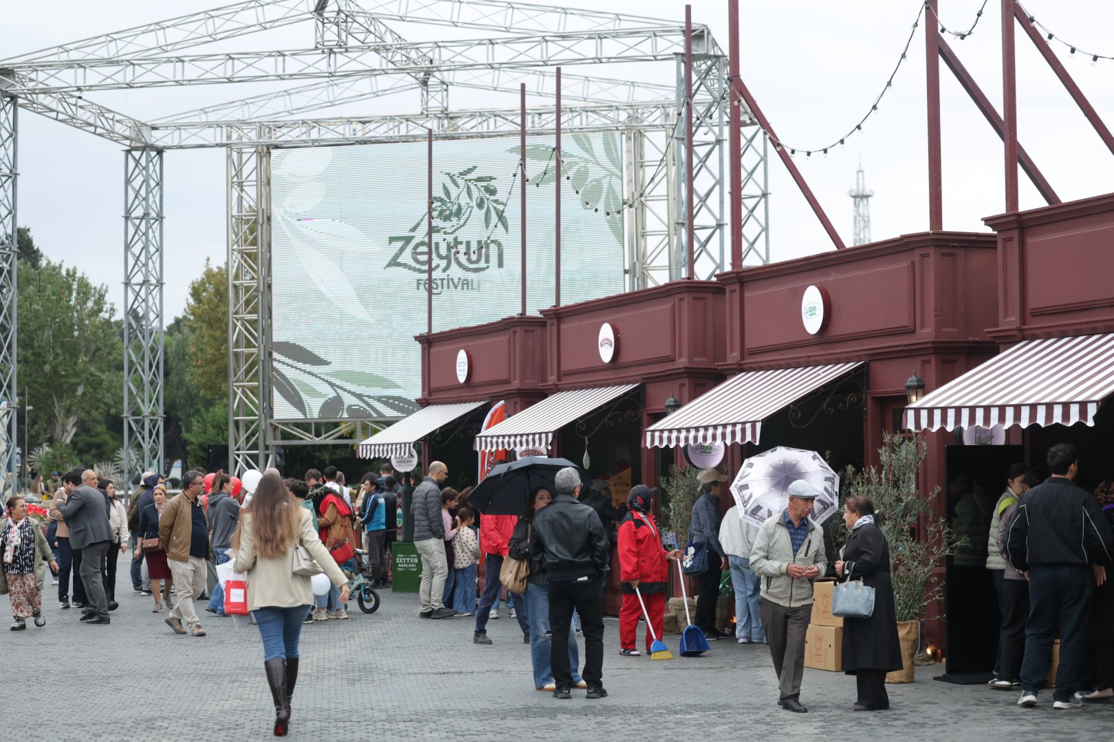 Olive Festival continues in Baku despite rainy weather (PHOTO)